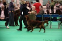 Crufts2011 131